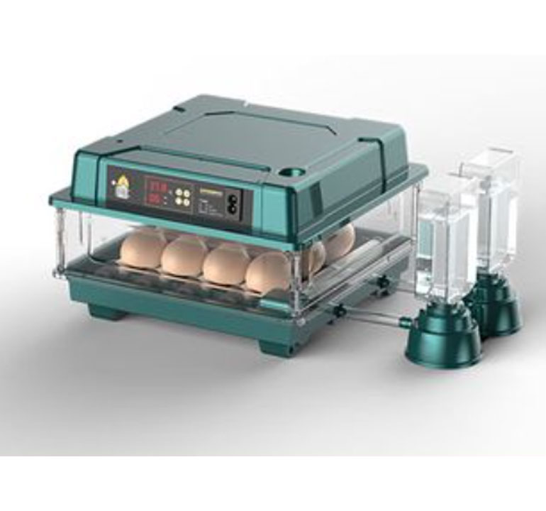 Best Small Home Egg Incubator with Auto Egg Turner – Perfect for Hobbyists & Backyard Farmers