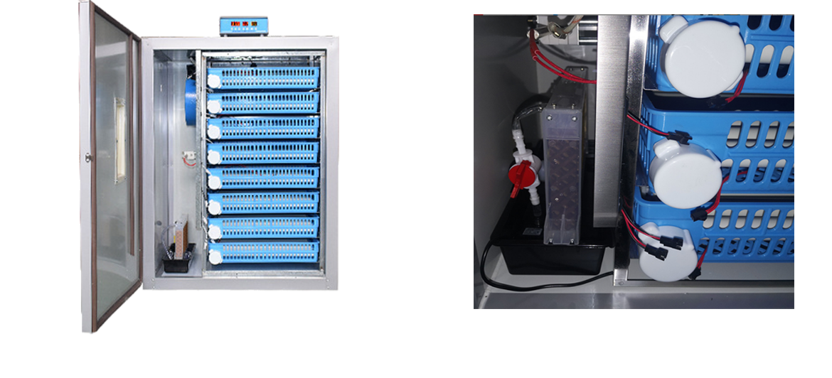 Affordable Egg Incubators for Rural Africa – Low-Cost, Reliable Hatching Solutions for Small-Scale Farmers