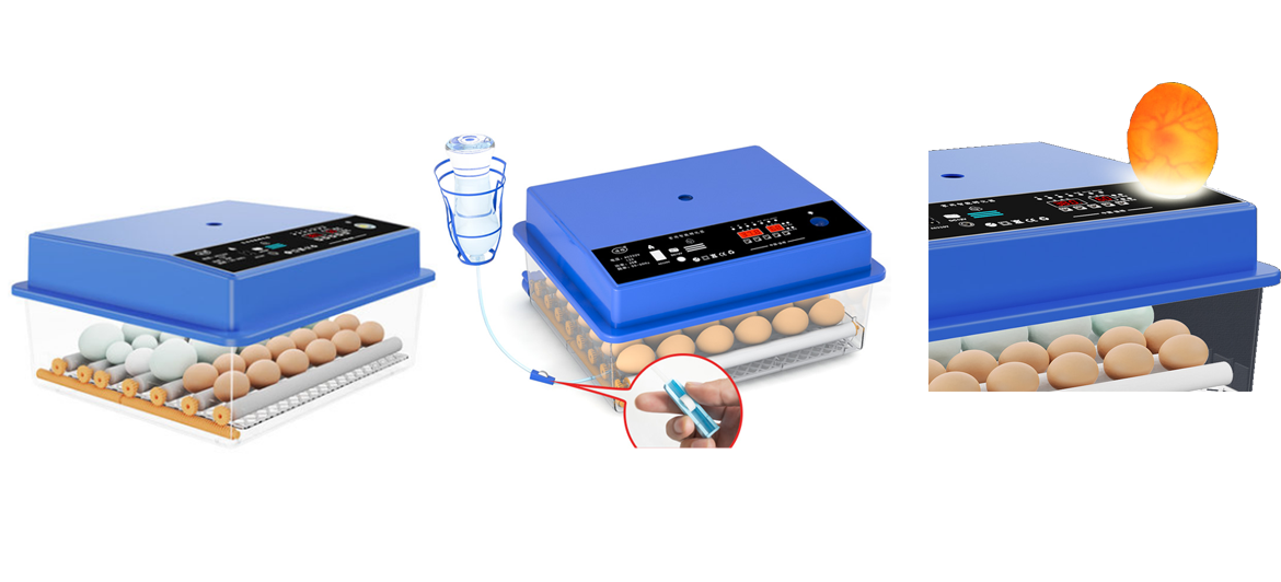 Duck Egg Incubator with Precise Temperature & Humidity Control – Ideal for Commercial Hatcheries