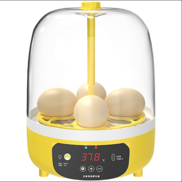 5 Mini-Eierbruter