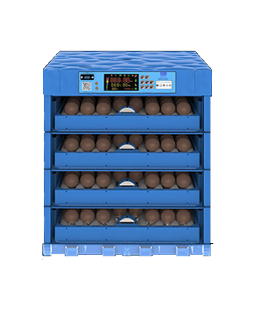 256 حاضنة بيض صغيرة