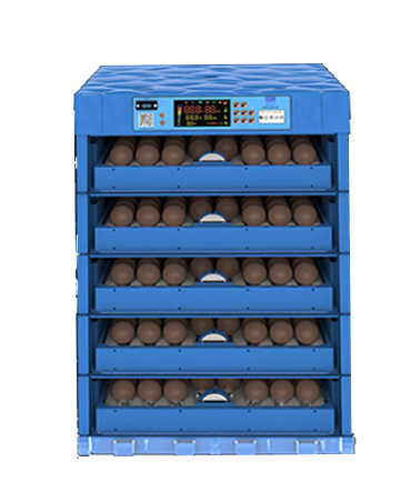 320 حاضنة بيض صغيرة