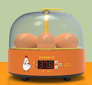 6 Mini-Eierbruter