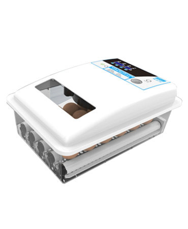 24 egg mini incubator