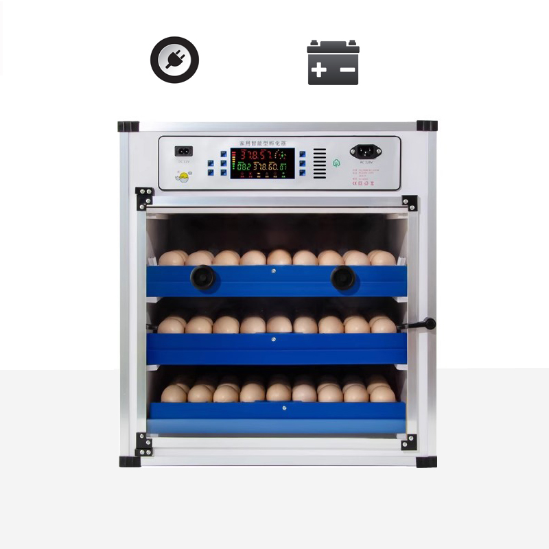 Best Small Home Egg Incubator with Auto Egg Turner – Perfect for Hobbyists & Backyard Farmers